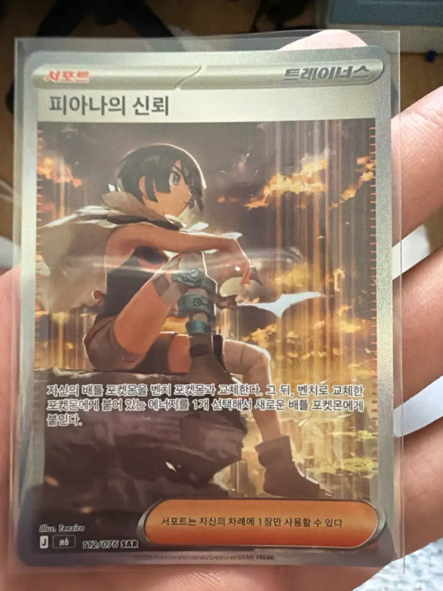피아나의 신뢰 sar