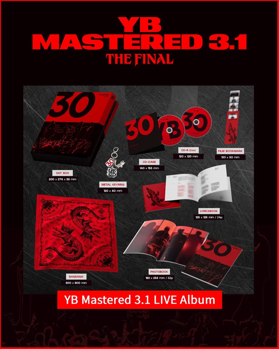 YB 앨범 윤도현 밴드 YB Mastered 3.1 LIVE
