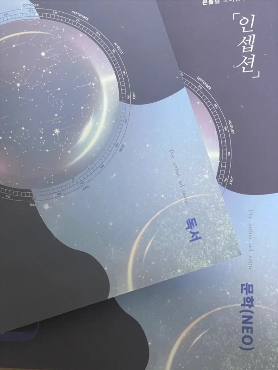 일괄가격) 유대종 인셉션 문학 독서 문학 체화서 독서 체화서 총 4권