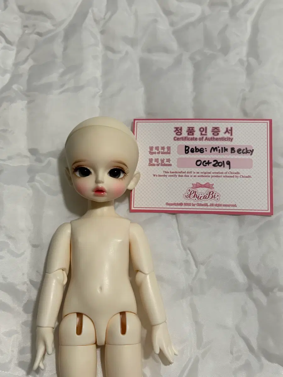 *급처* 치카비 베키 usd 물품포함 구체관절인형