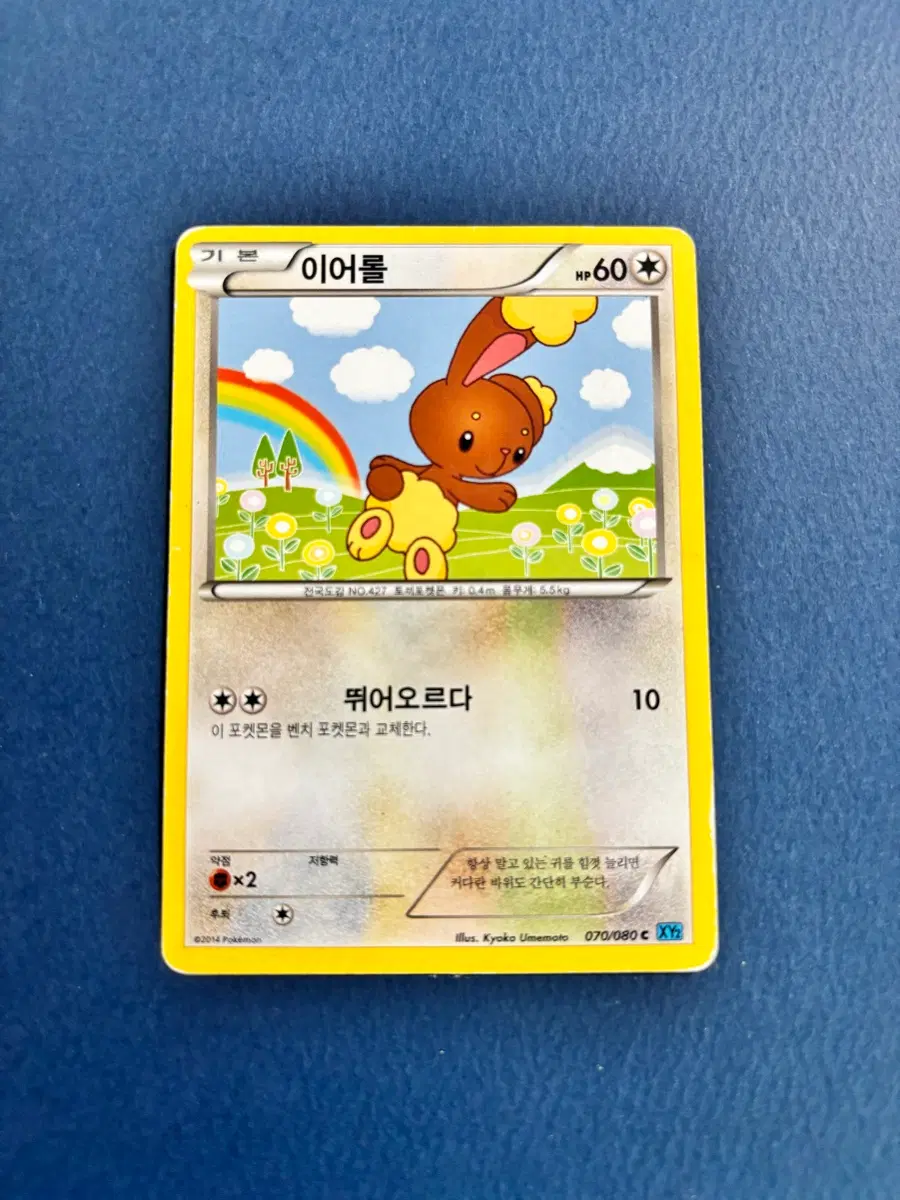 포켓몬카드 바오프 일반카드 도감용 덱소스 XY2 070/080