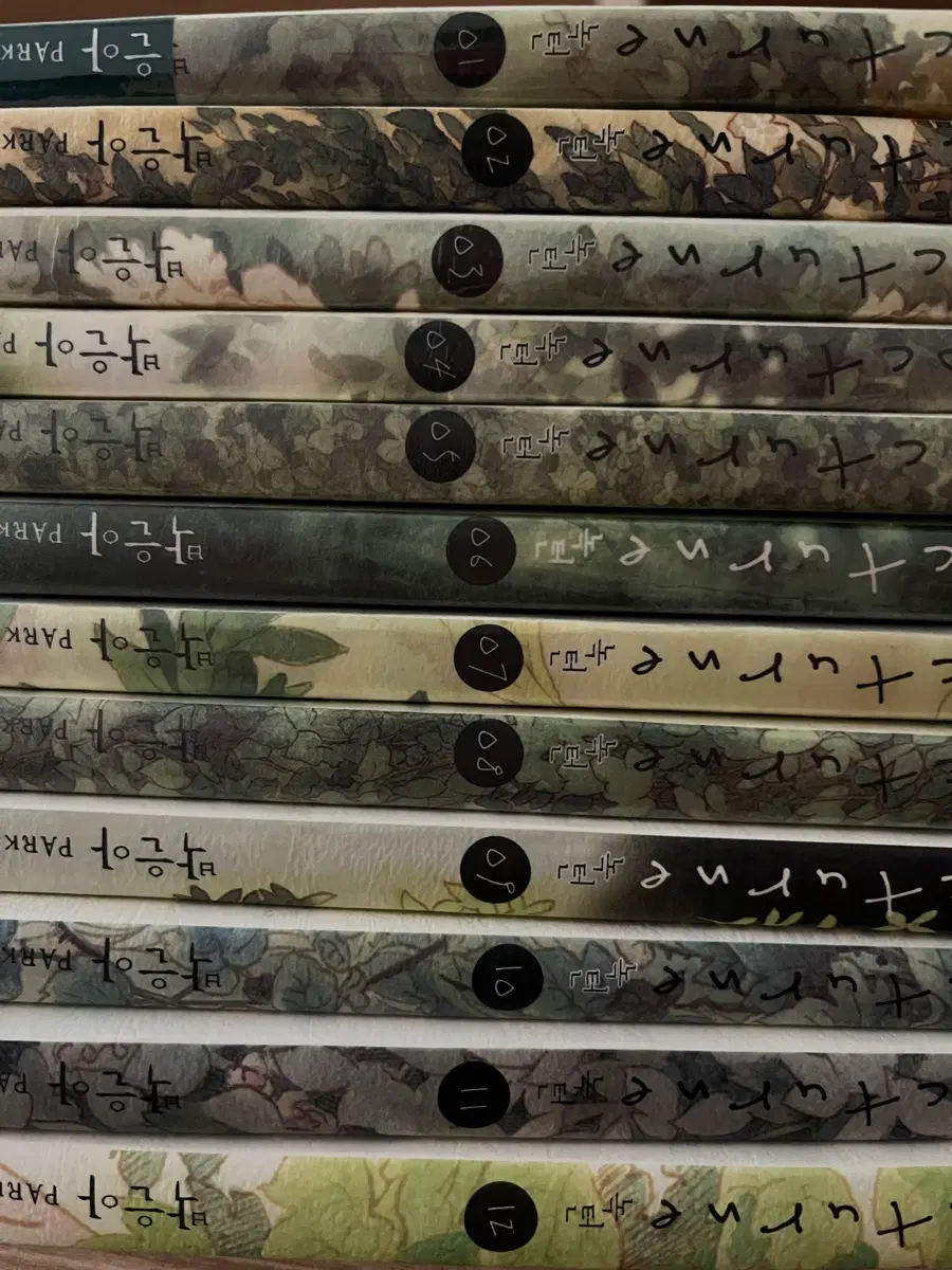 박은아 녹턴 1-12권 (대여점용)