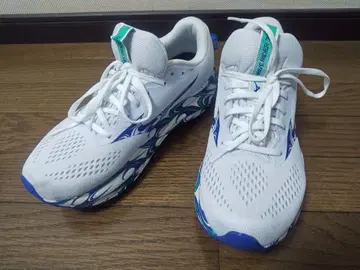 MIZUNO WAVE RIDER 30 28cm