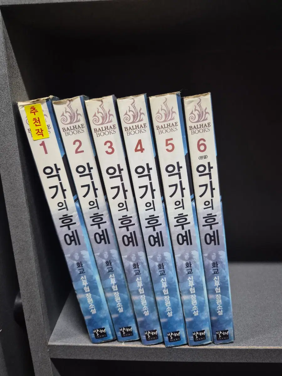 악가의후예(화교신무협소설)1~6완 추천도서