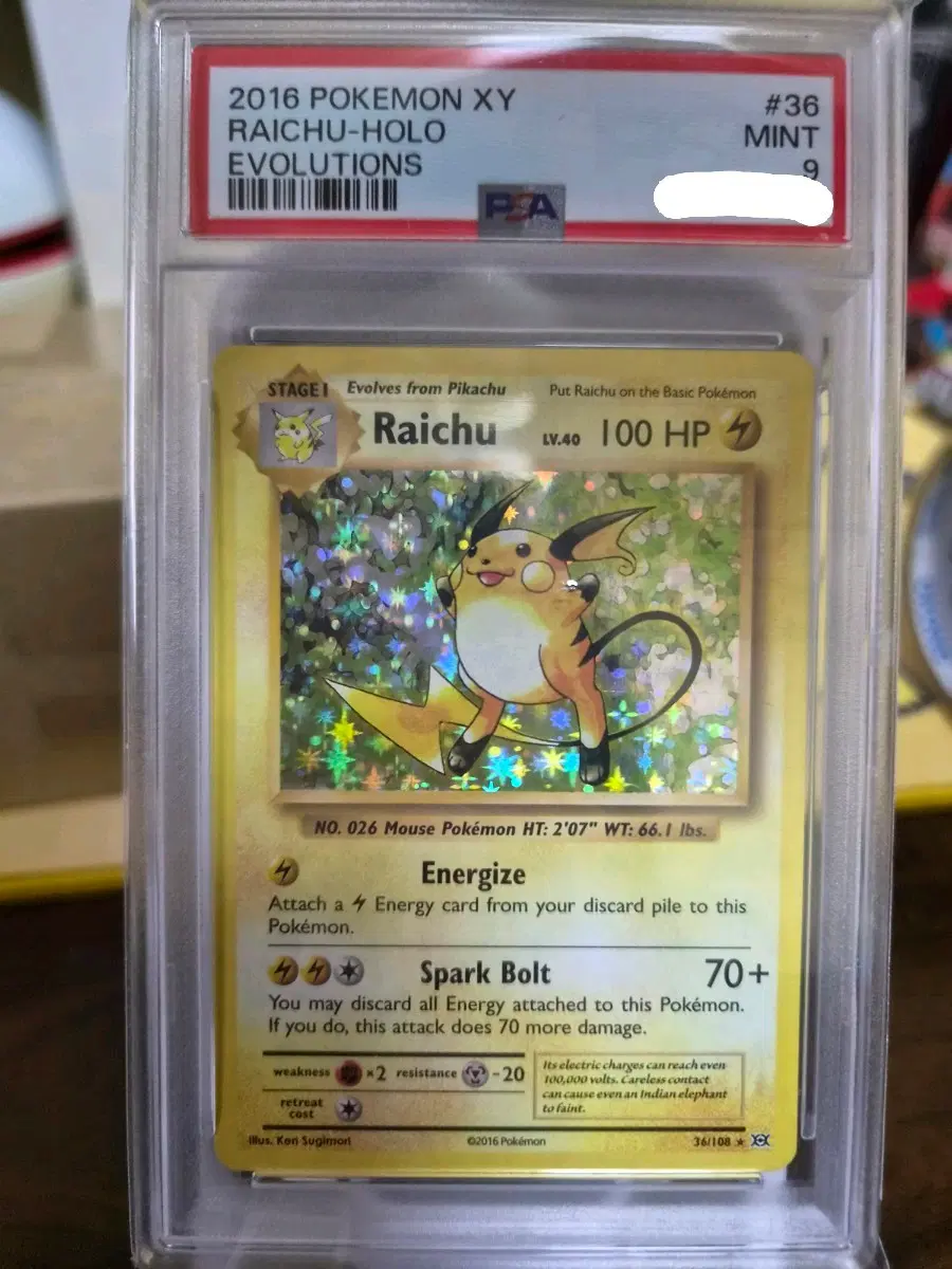 2016 xy evolutions 라이츄홀로 psa9