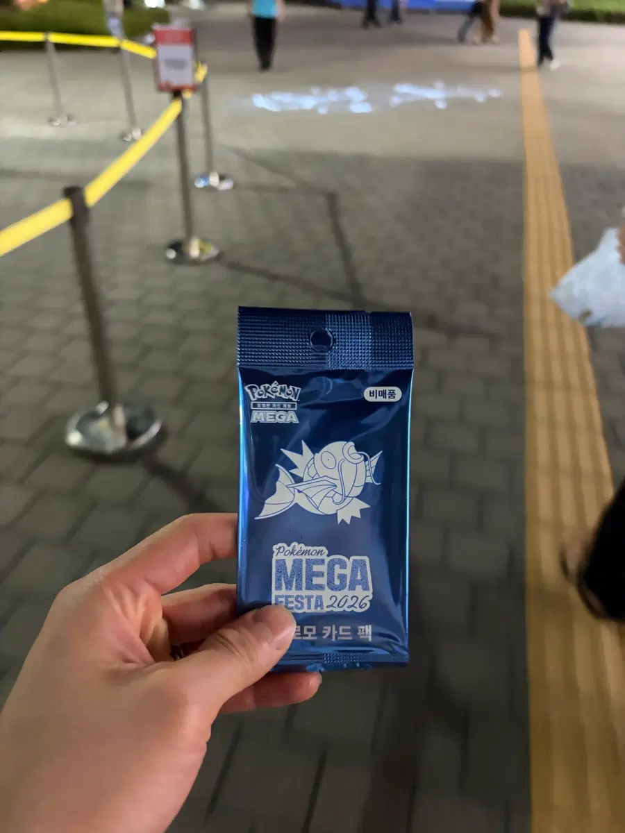 잉어킹 프로모카드
