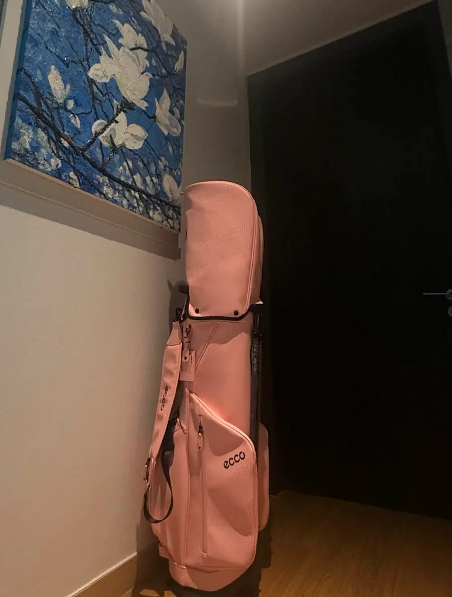 [새상품] ECCO 스탠드백 골프가방 판매합니다.