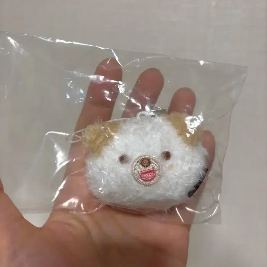 데이식스 도운 페이스 키링