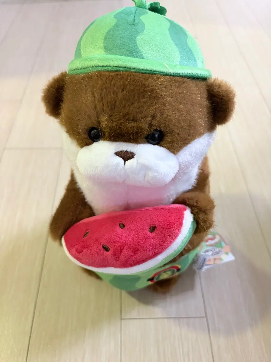 우소우소짱 모카우소우소 수박