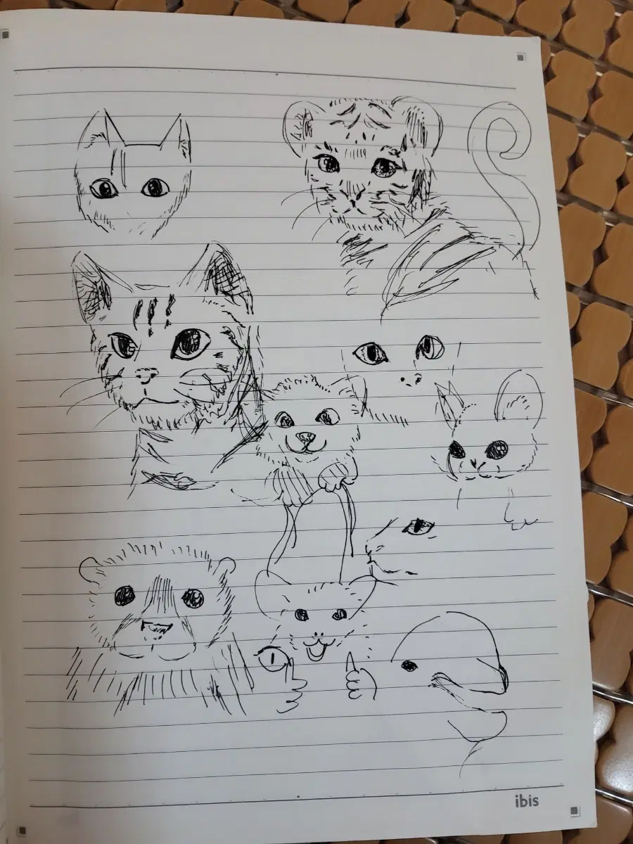 손그림 일러스트
