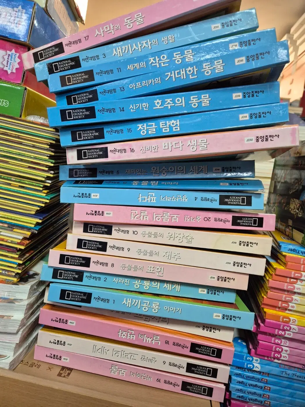 자연대탐험 중앙출판사 20권 세트 어린이책 중고책