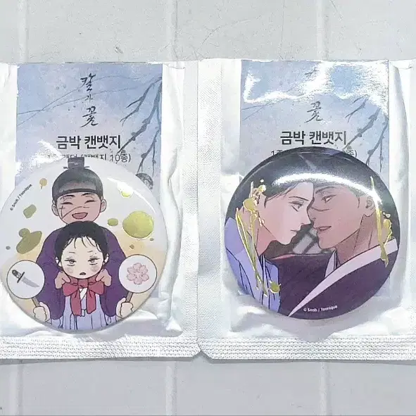 웹툰 칼과 꽃 금박 캔뱃지 세트 Webtoon Steel Under Silk