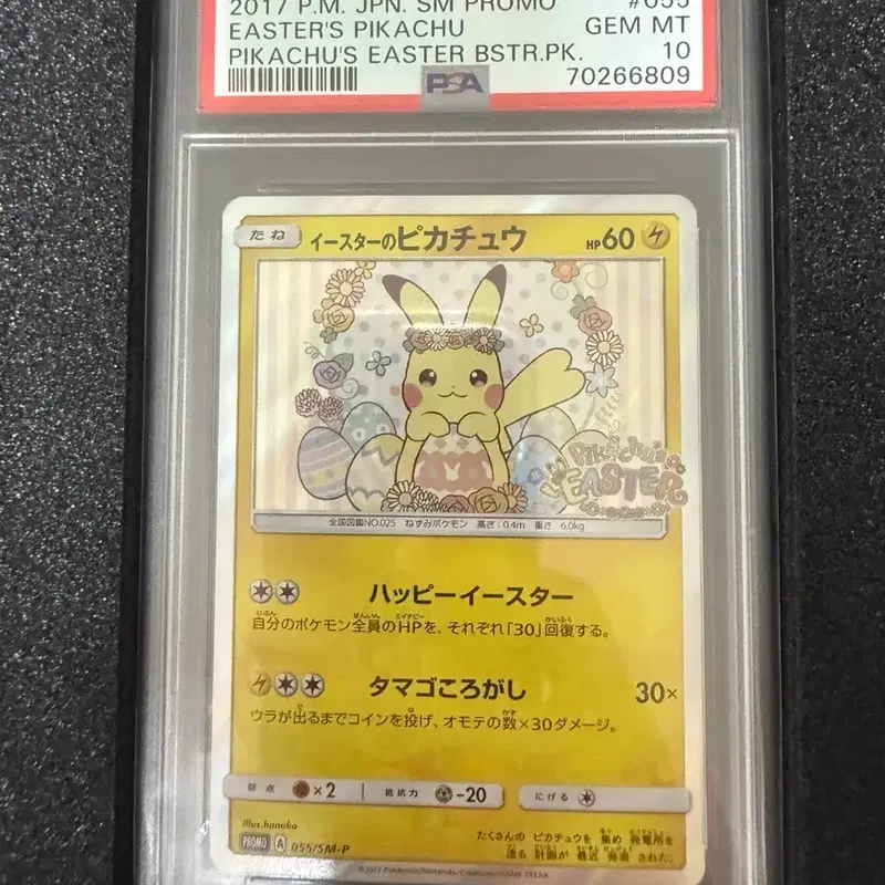 포켓몬카드 일판 부활절 피카츄 psa10