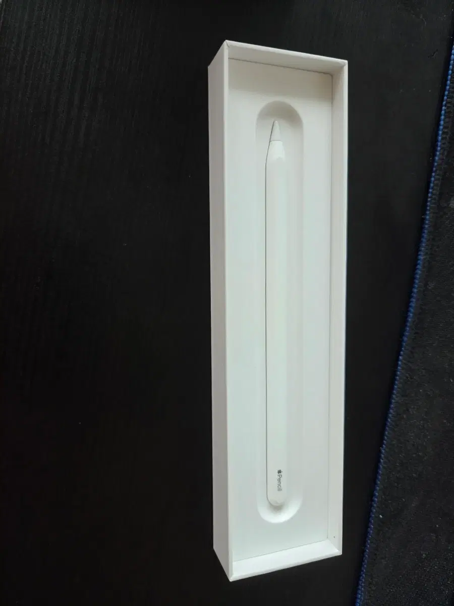 사용안해서 방전된 애플펜슬2세대 팝니다