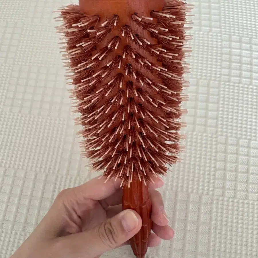 툴리프 메가 빅 드라이 롤 브러시
