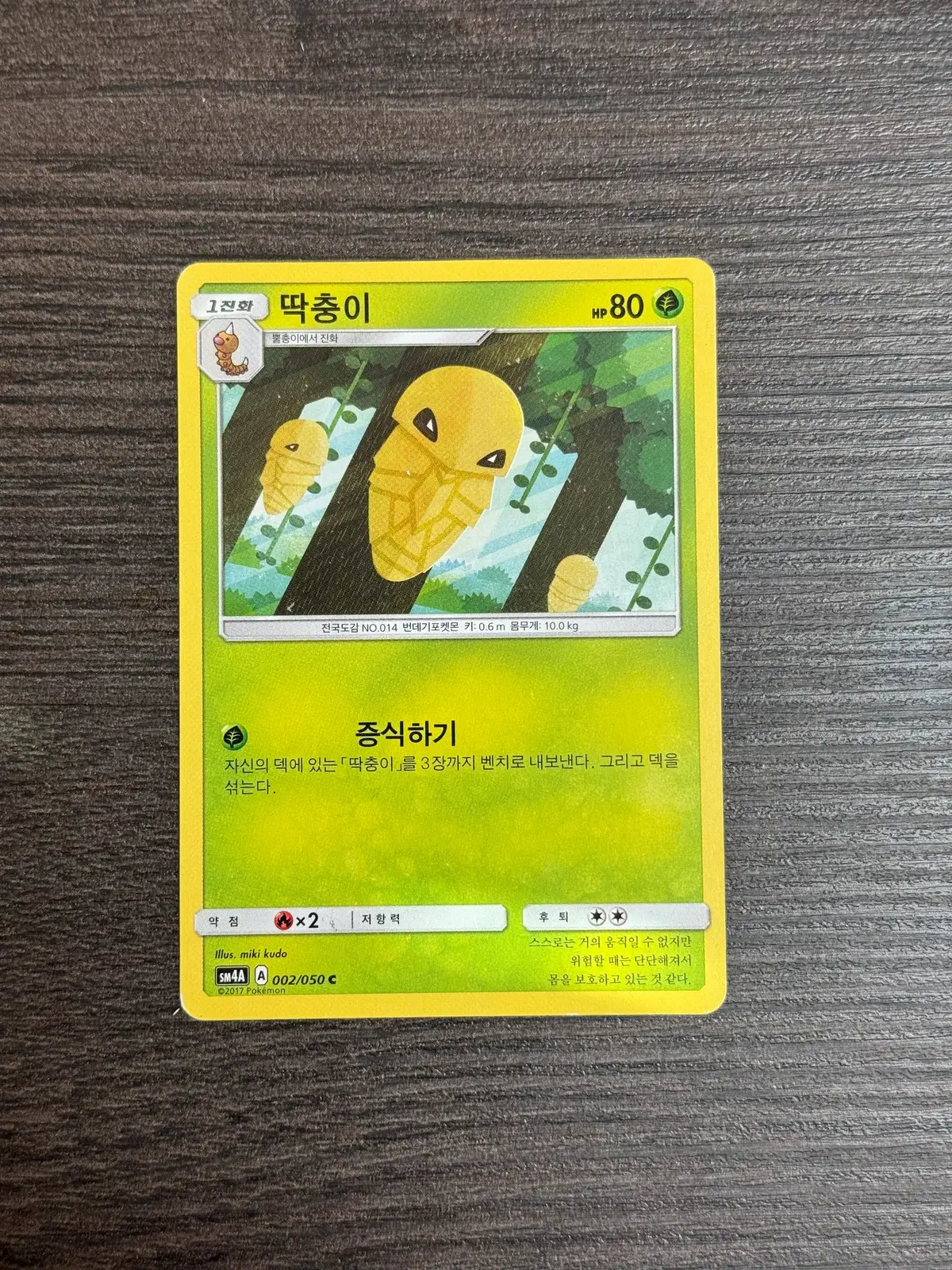 포켓몬카드 딱충이 판매 4-K