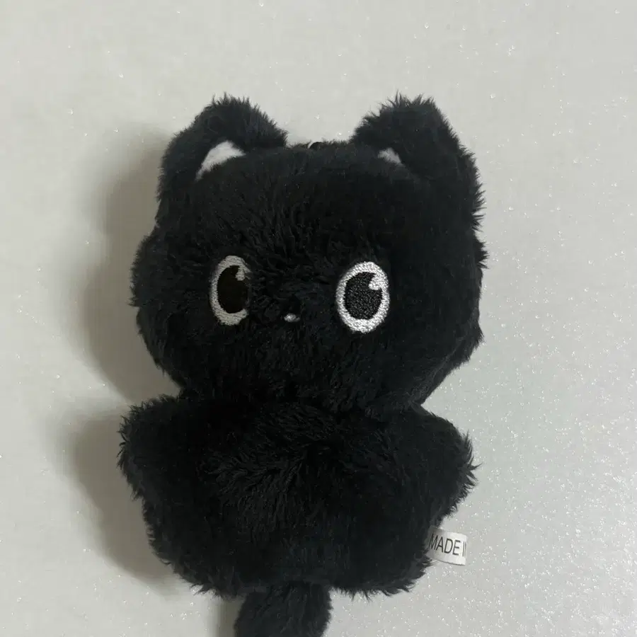라이즈 원빈 냥삐 인형 판매