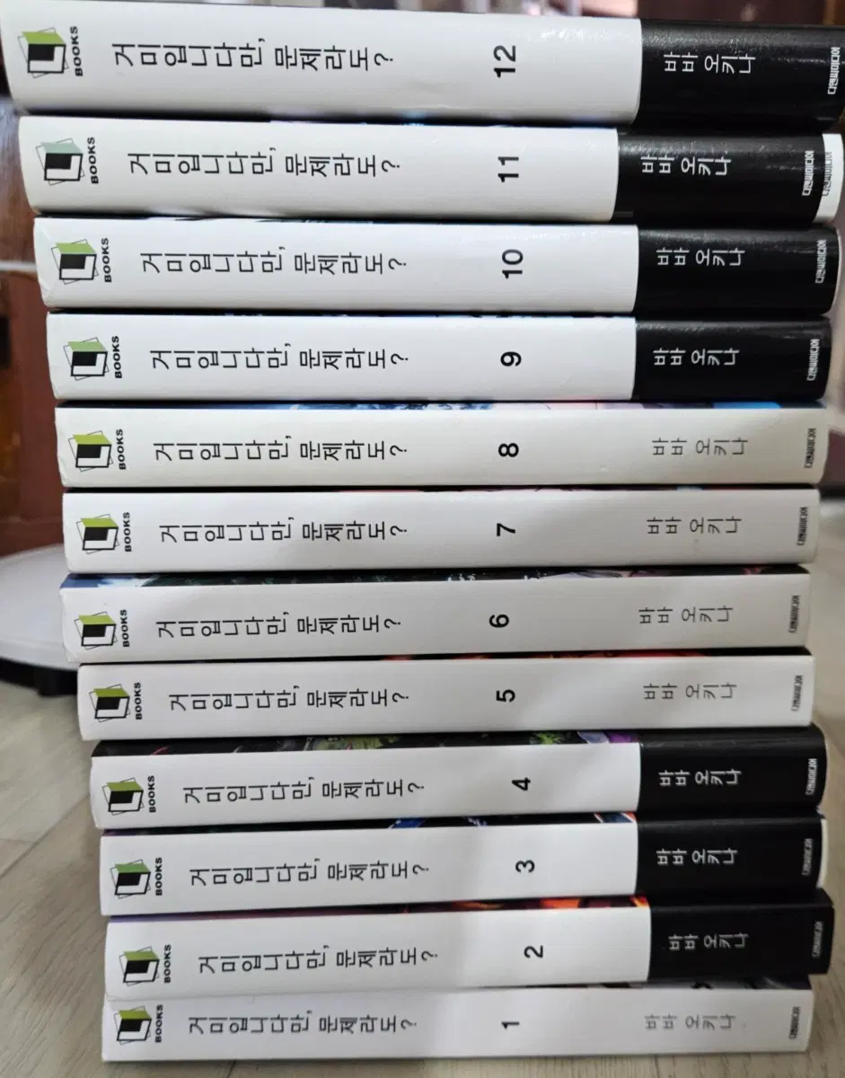 거미입니다만 문제라도?(라노벨)