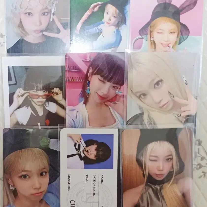 르세라핌 김채원 포카 일괄 판매 시그 크레이지 위버스 일본 팝업