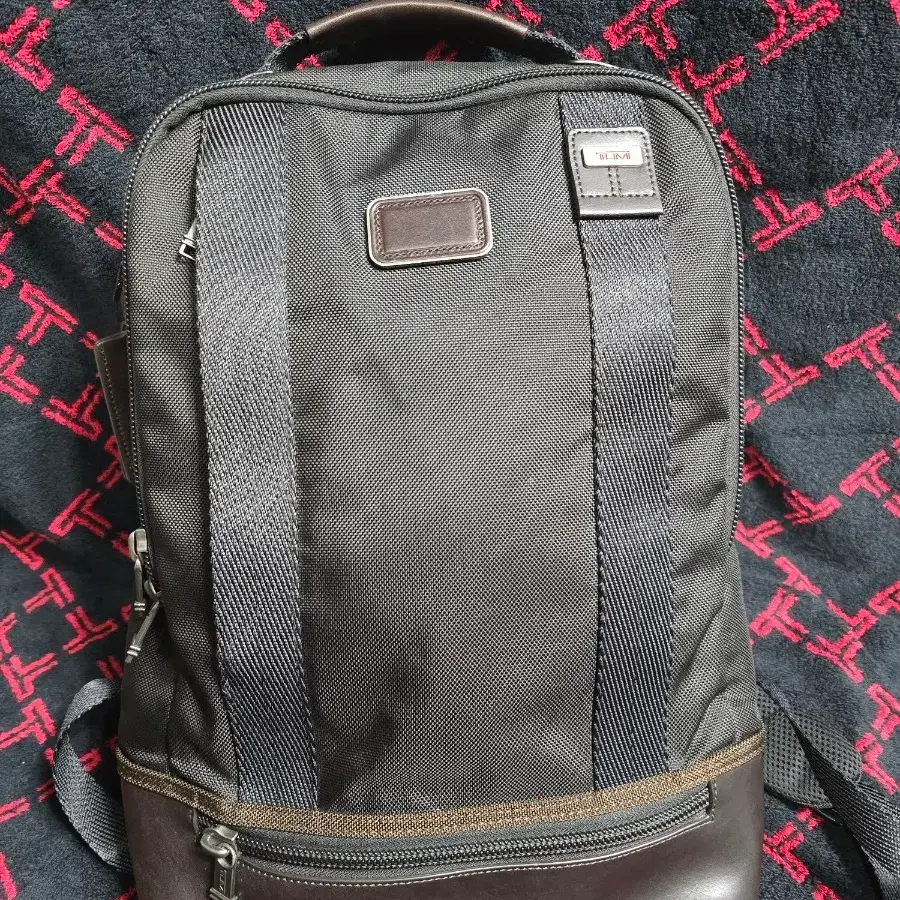 투미(TUMI) 알파 브라보 도버 백팩 222682HK2