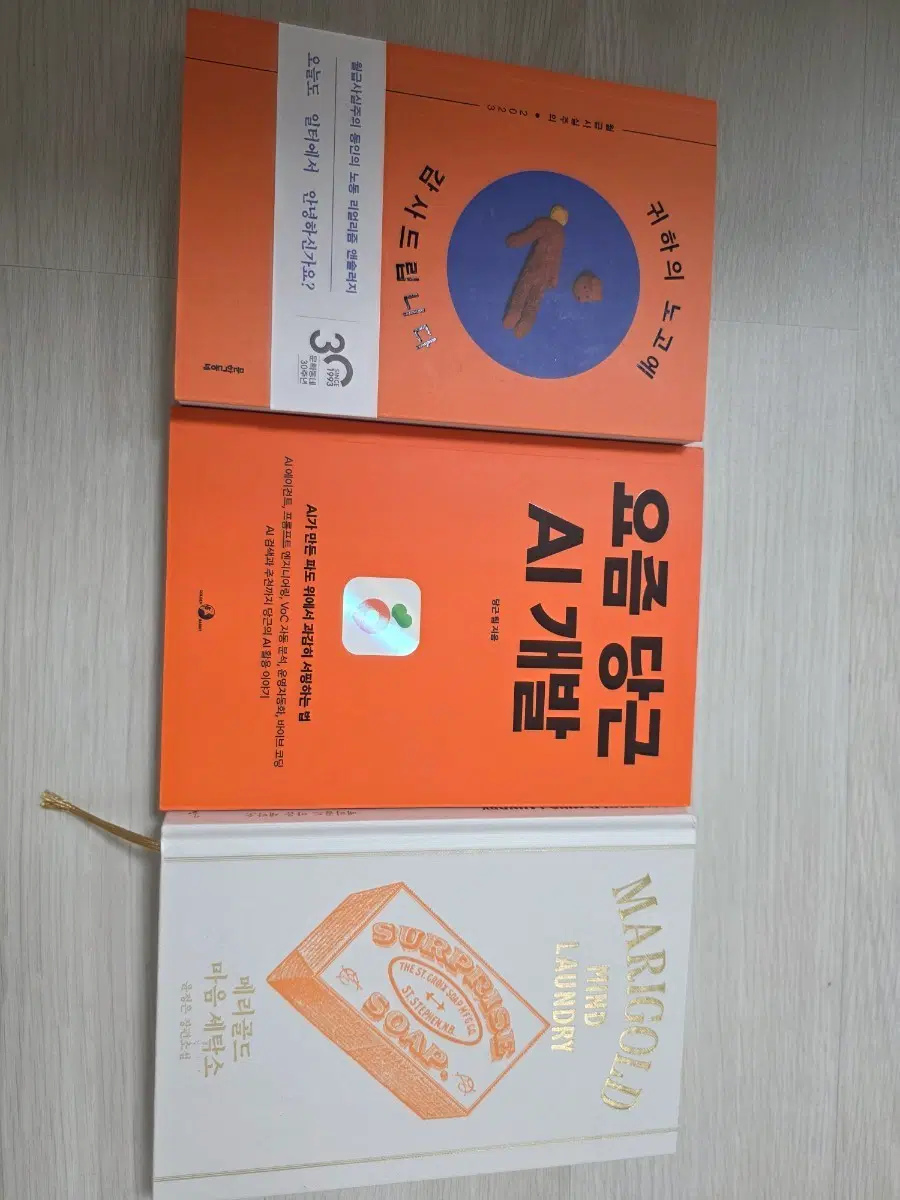 귀하의노고에감사드립니다/요즘 당근 AI 개발/메리골드마음 세탁소 도서