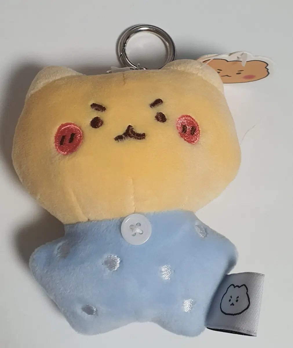 곰곰이 키링