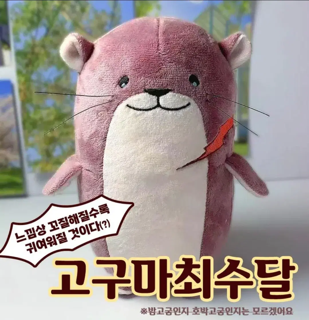 구함) 괴담출근 괴출 최요원 최씨 고구마최수달