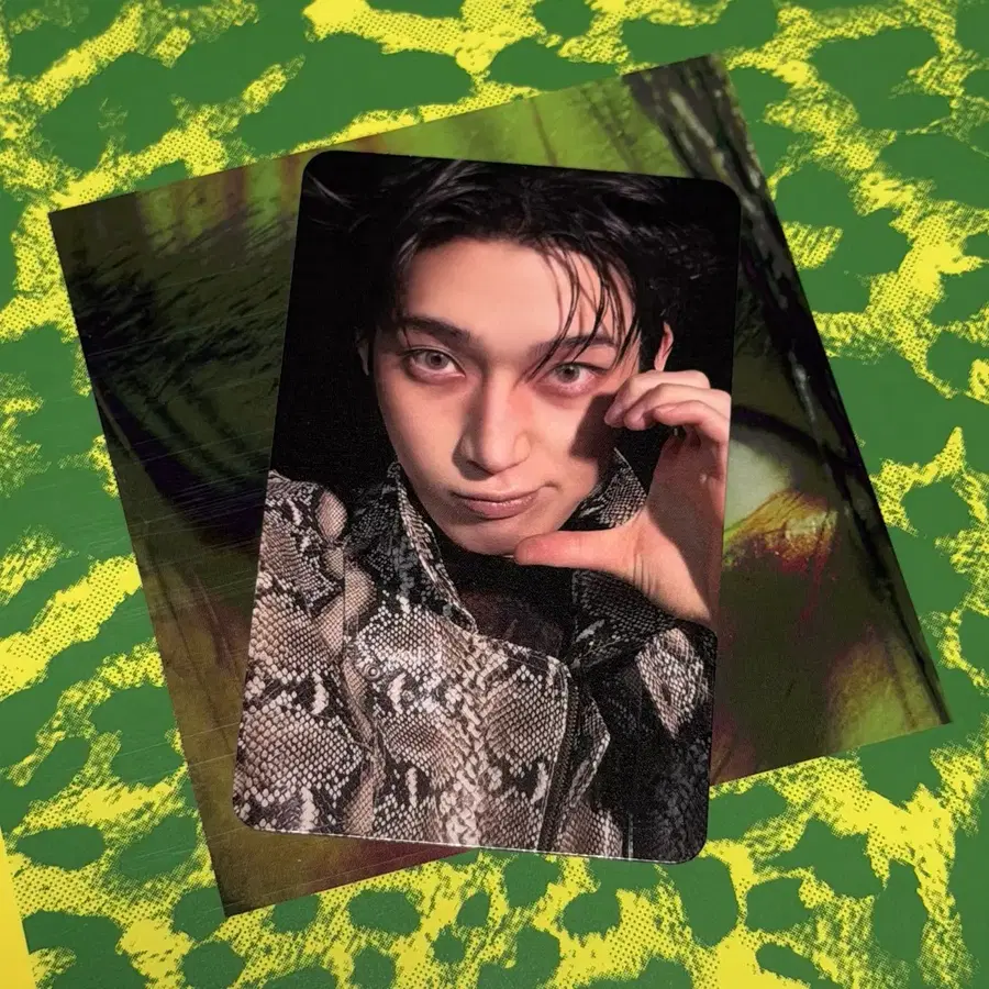선우) Take4 엔하이픈 블리스 일반반 판매