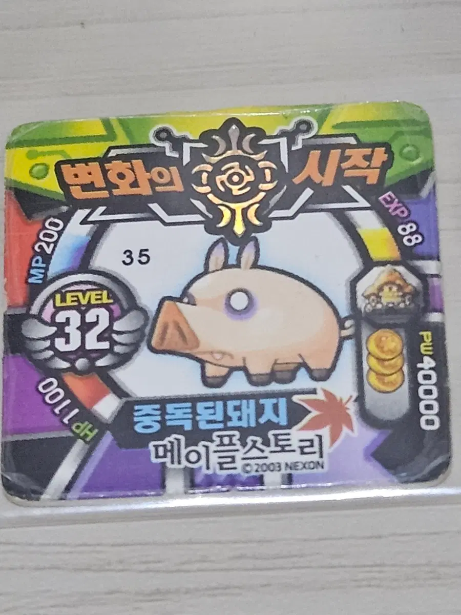 [고전] 메이플스토리 소형딱지 중독된돼지