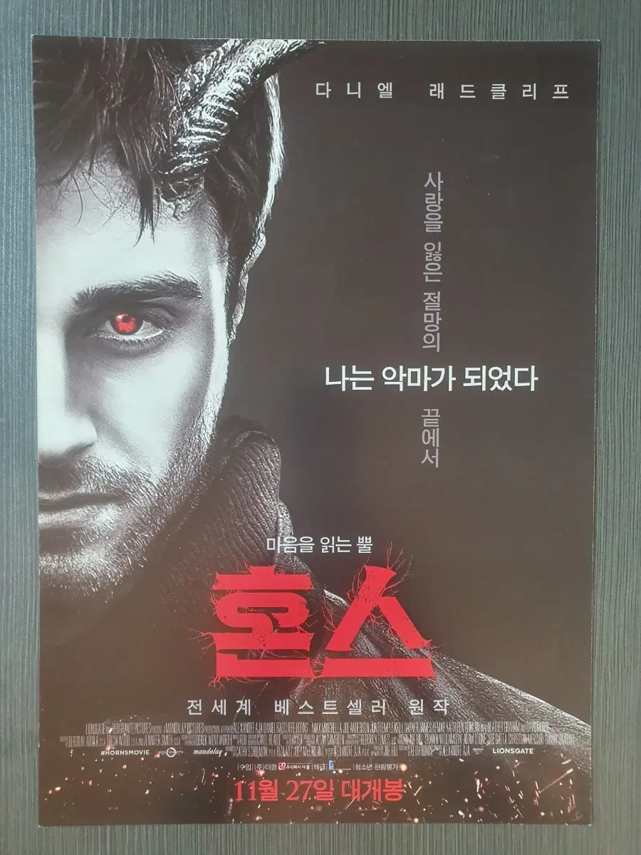 혼스 영화 전단지 팜플렛 A4