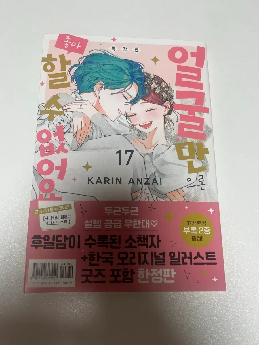 얼굴만으론 좋아할 수 없어요 17권