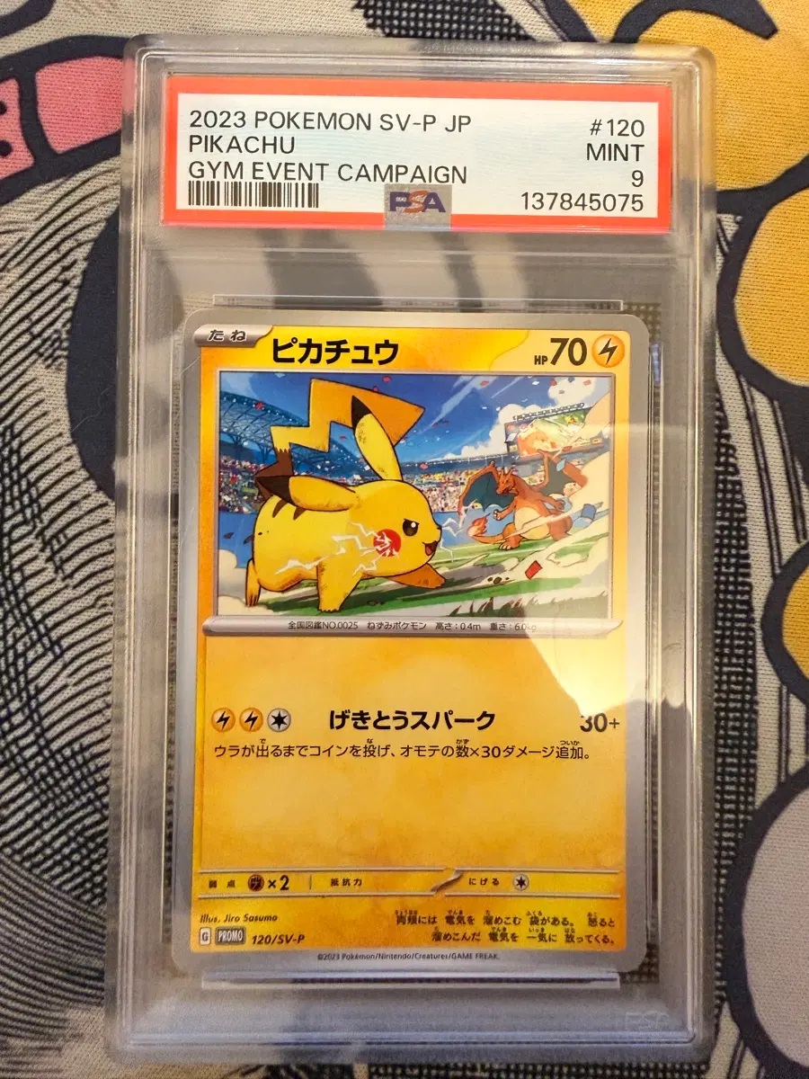 포켓몬카드 짐 프로모 피카츄 리자몽 PSA9