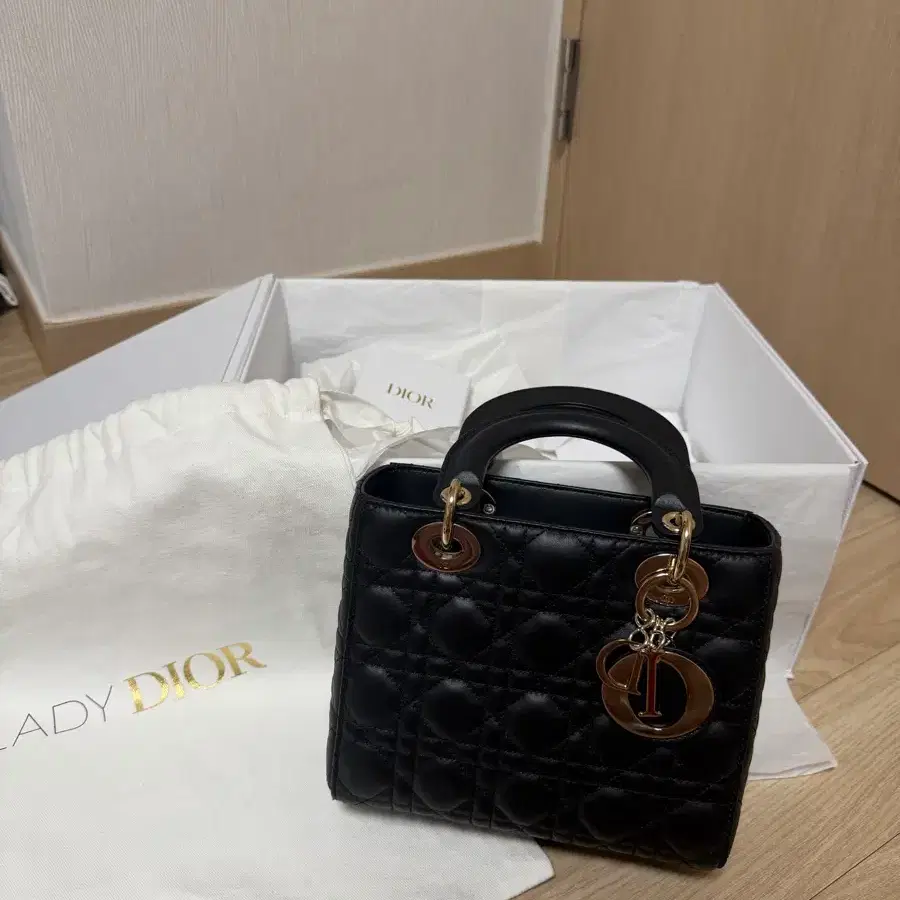 디올 레이디백 스몰 블랙 금장 25년 12월 구매