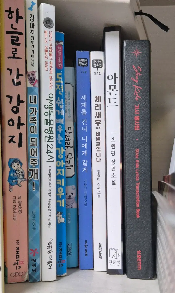소설책 아몬드 체리새우 세계를 건너 너에게 갈게