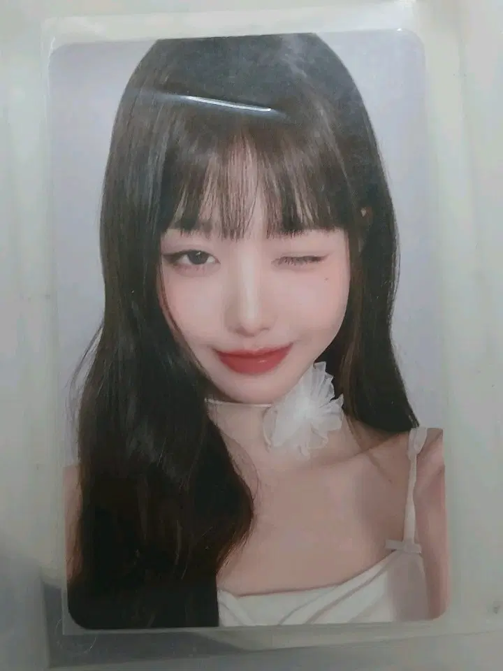 아이브 2024 시그 케타포 특전