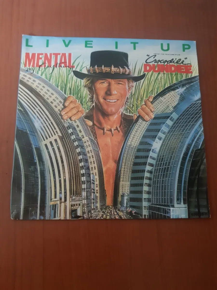 Mental As Anything 독일반 7인치싱글 바이닐vinyl 도넛판 45rpm