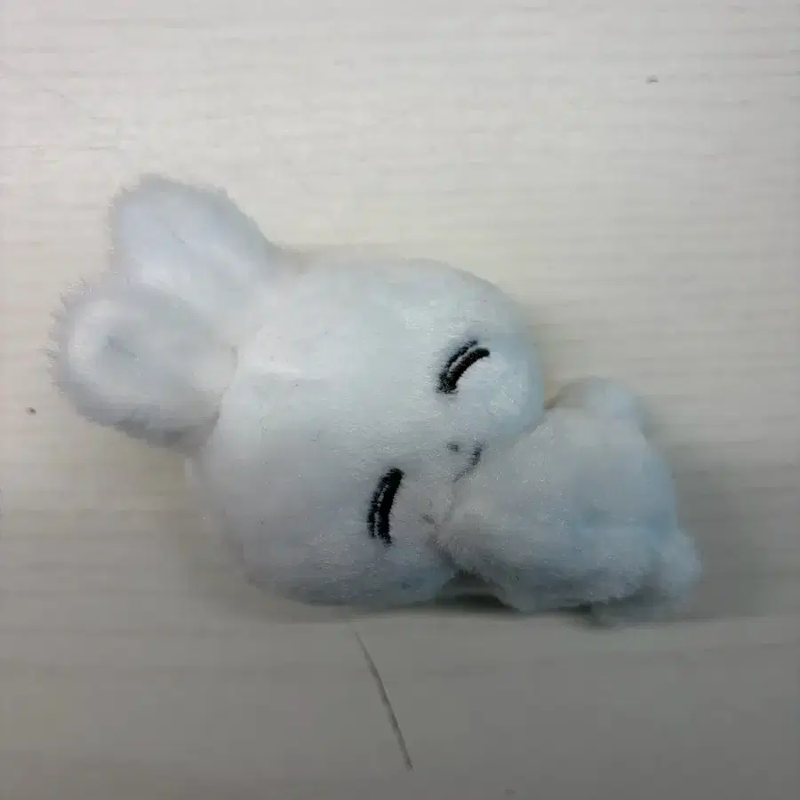 눕쫑이