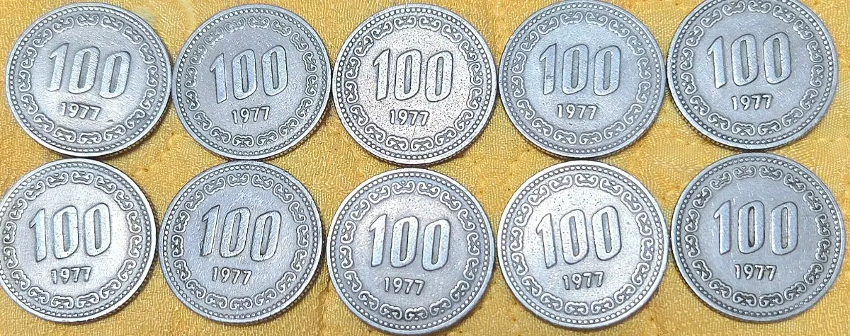 <특년><사용제> 1977년 100원 10개 묶음