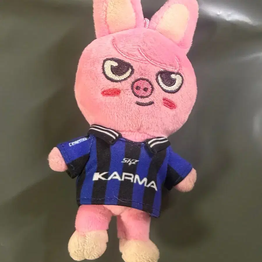 스키즈 스트레이키즈 skz 서창빈 창빈 인형 돼끼 카르마 양도 현진 필릭스 승민 ㅅㅊㅇ