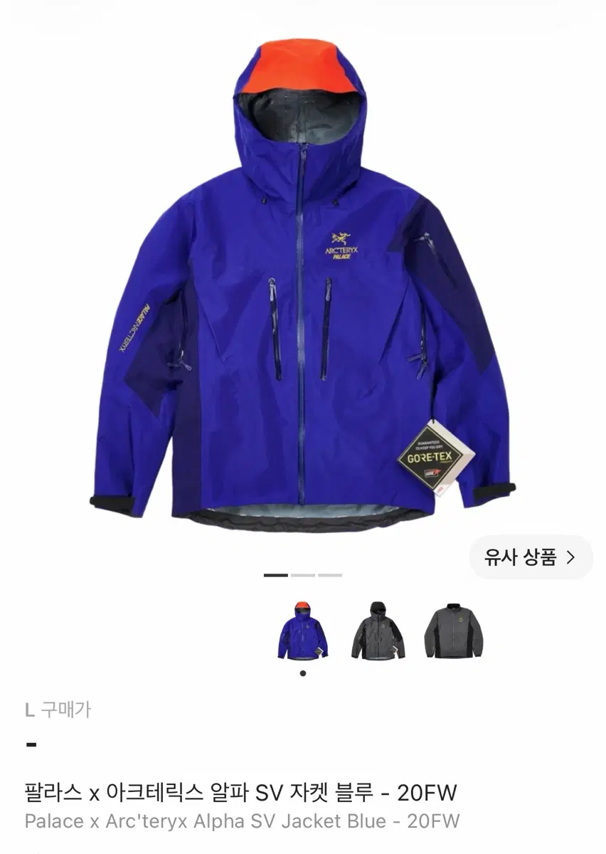 아크테릭스 팔라스 알파sv 블루 L사이즈