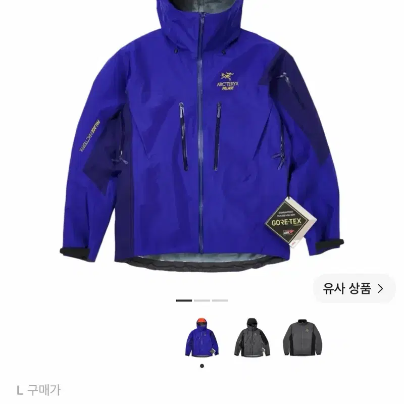 아크테릭스 팔라스 sv (마지막 가격)
