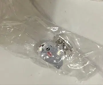 치이카와 파크 치이카와 마메마메 피규어 참 메지루시