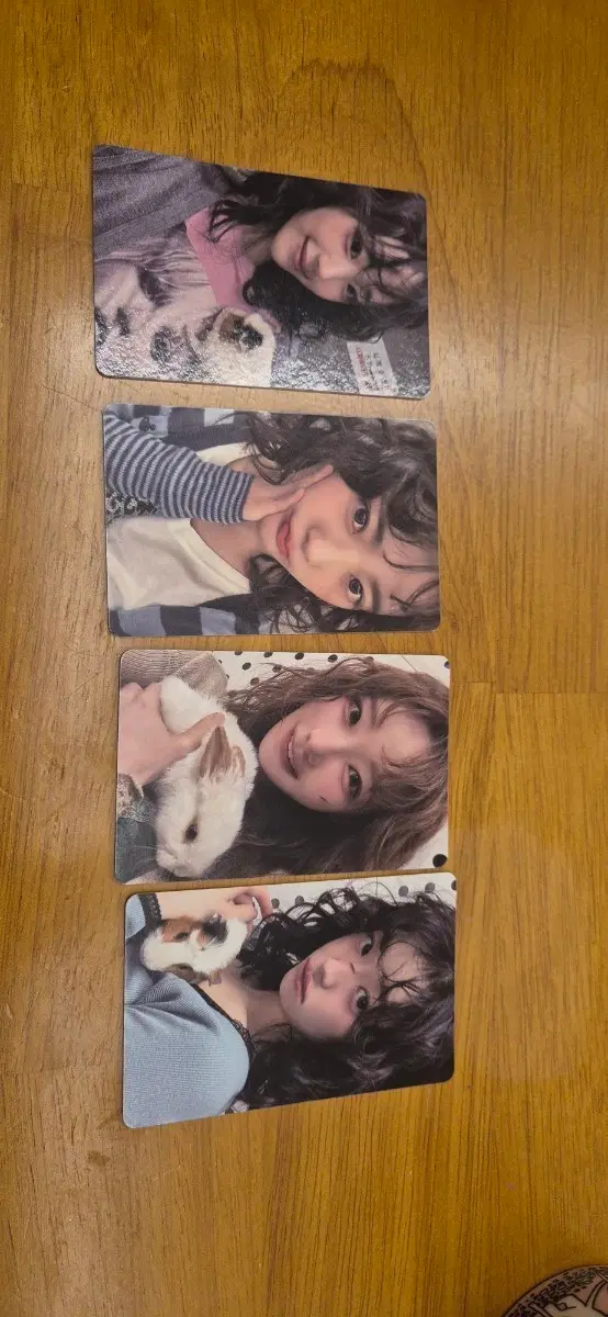 QWER 포카