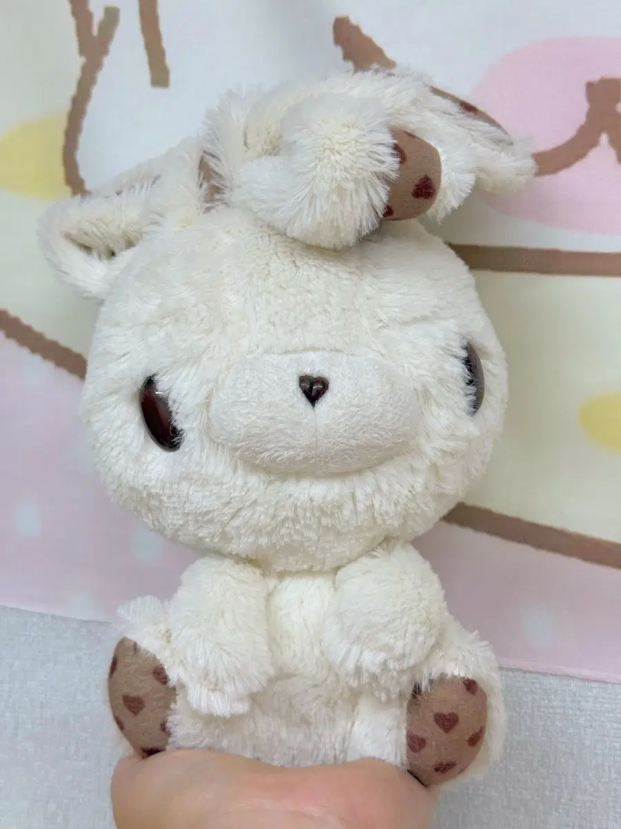 범용토끼 발렌타인 화이트초코