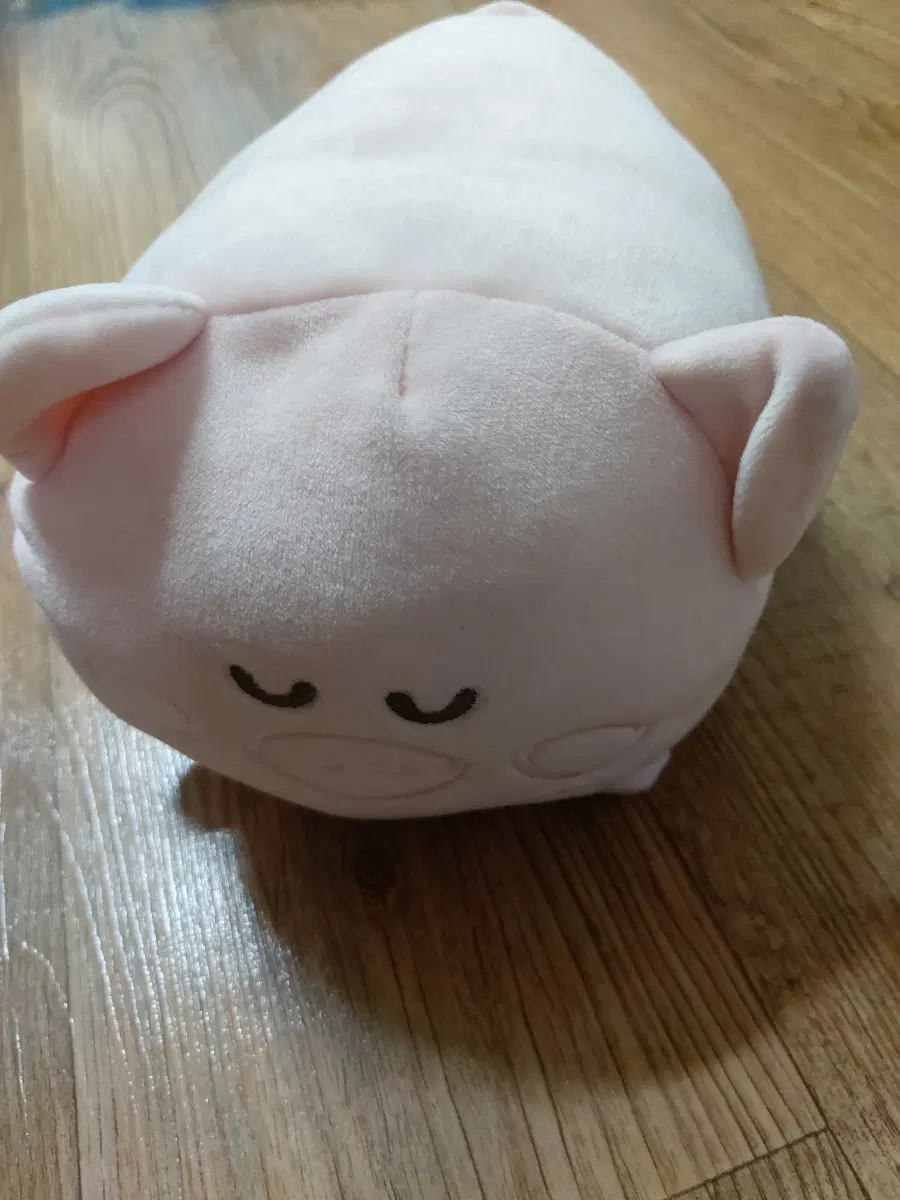 돼지인형