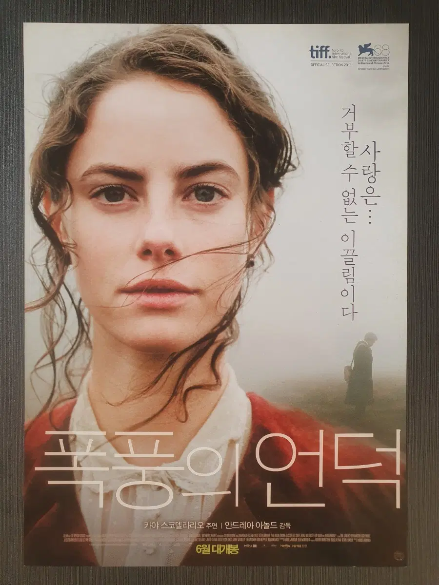 폭풍의 언덕 영화 전단지 팜플렛 A4 카야 스코델라리오