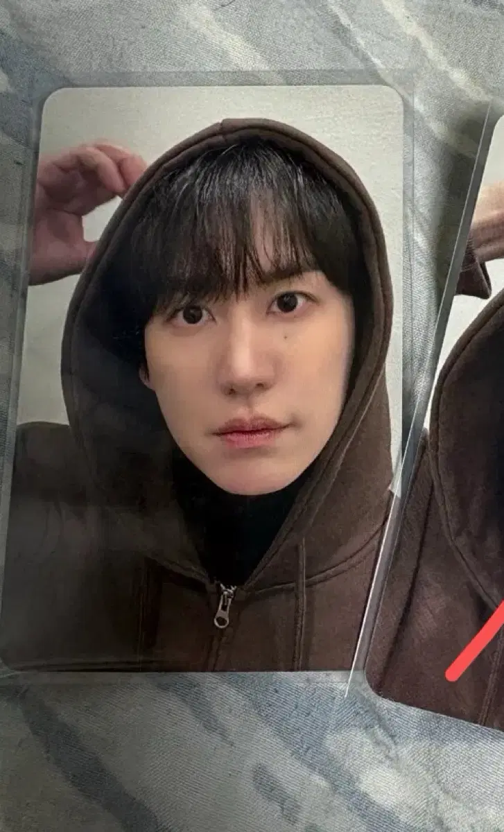 규현 더클래식 올리브영 팝업 포카 양도