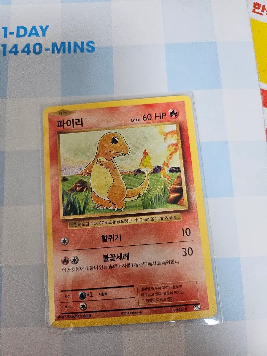 포켓몬카드 파이리 xy