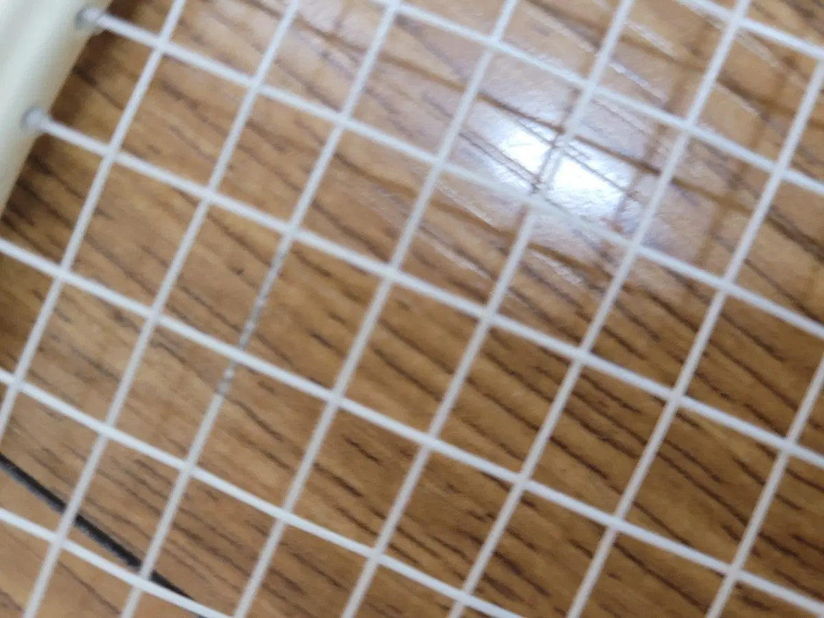 가와사키 배드민턴 라켓