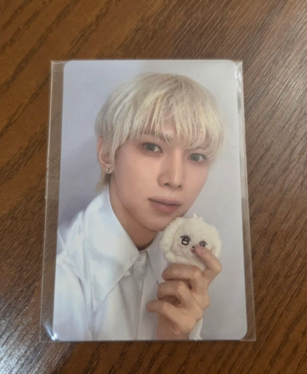 에이티즈 애니티즈 8초 미션 여상포카 양도